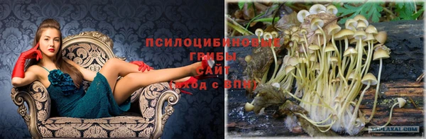 винт Арсеньев